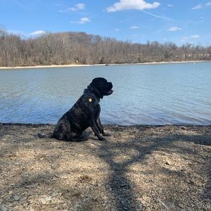 Meet your Posher, Jamie